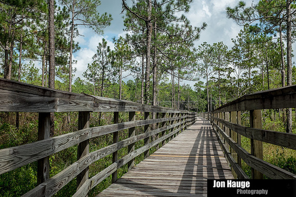 Baldwin County Photographer