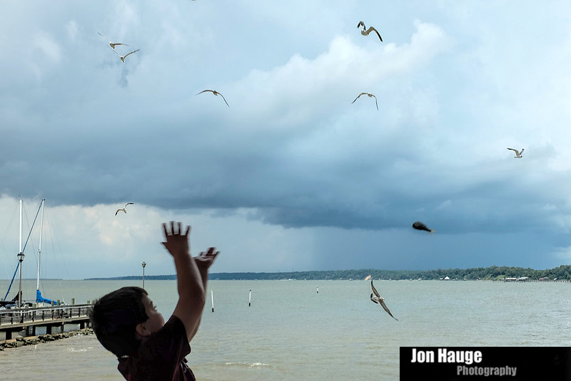 Fairhope Photography