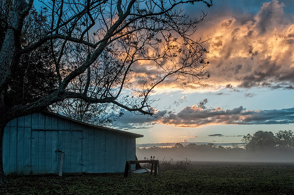Robertsdale Photography