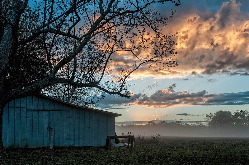 Robertsdale Photography