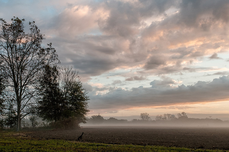 Robertsdale Photography
