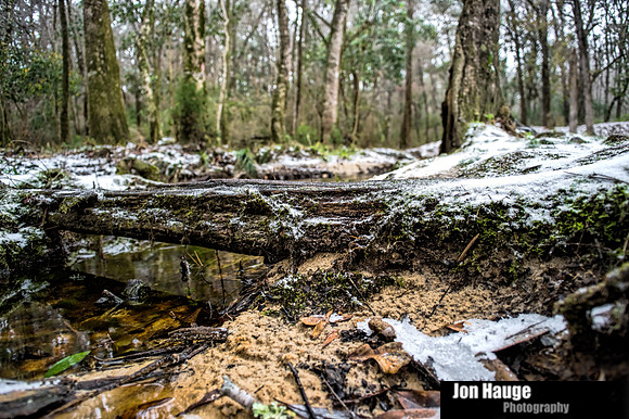 Winter Blast in Baldwin County
