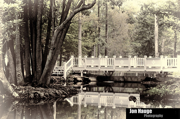 Impressions of Fairhope