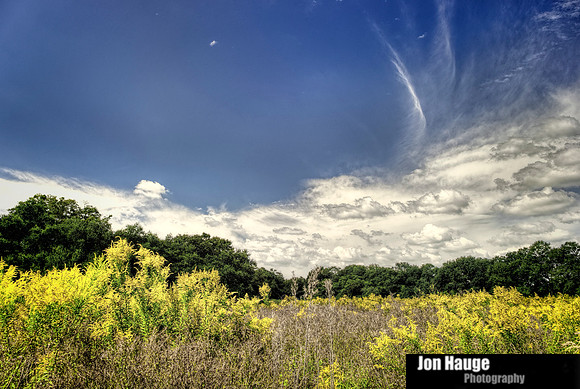 Baldwin County Landscapes
