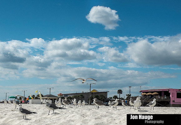 Fall in Gulf Shores