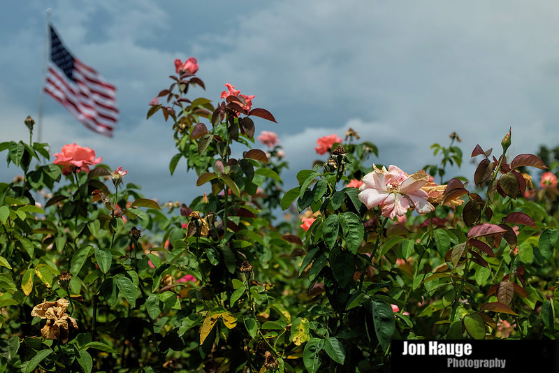 Fairhope Photography