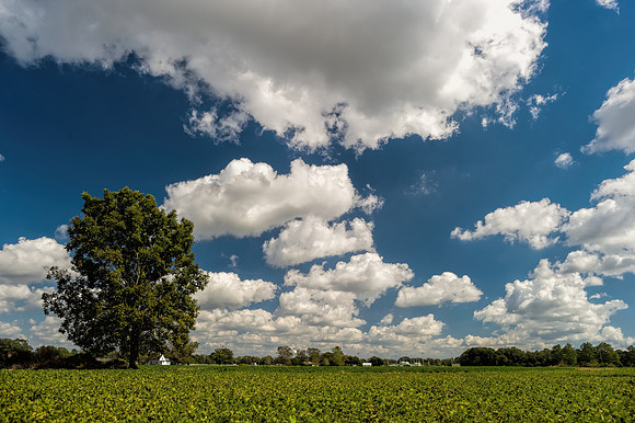 Baldiwn County Landscapes