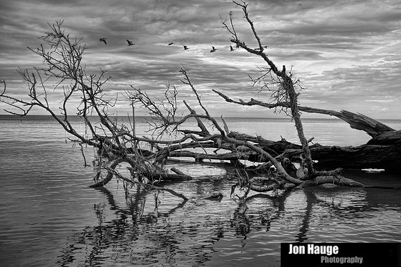 Fort Morgan Road