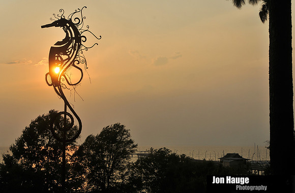 Fairhope Photography