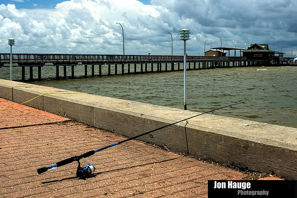 Fairhope Photography