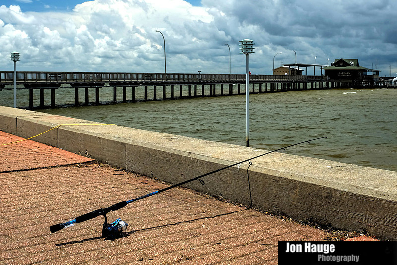 Fairhope Photography