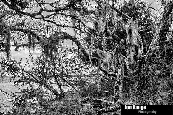 Fort Morgan Road