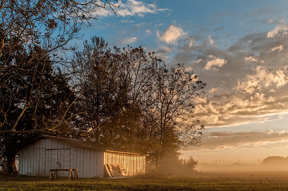 Robertsdale Photography