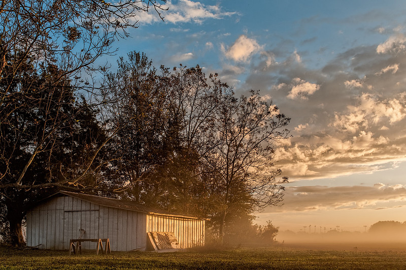 Robertsdale Photography