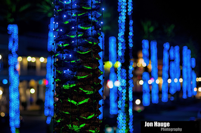 Christmas at the Wharf