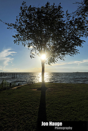 Fairhope Photography