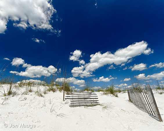 Sunnsy Day at the Beach